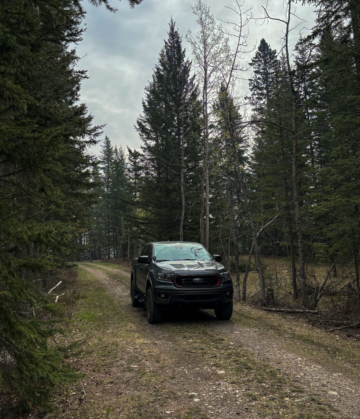 Ford Ranger Wildtrak pickup on a forest track